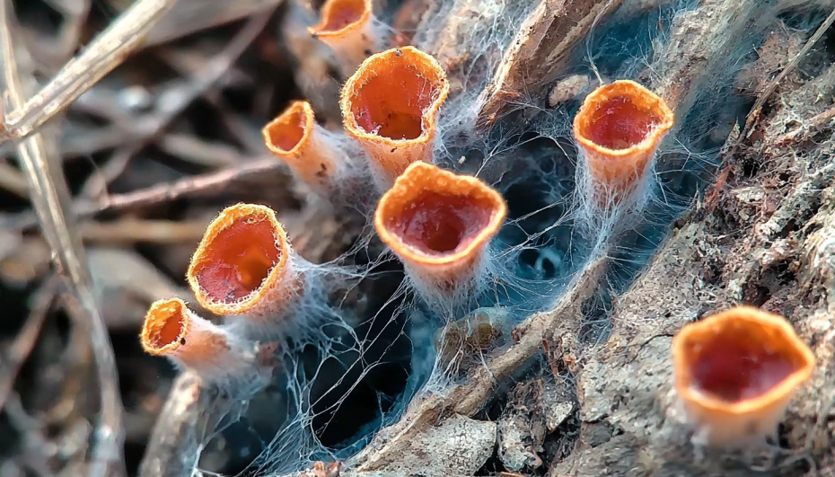    сгенерированно в Midjourney