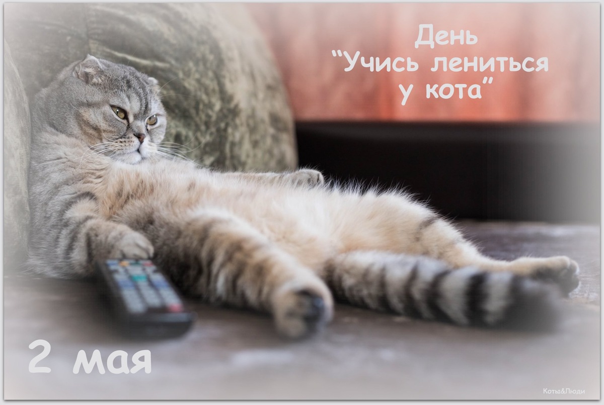 Коллаж автора. Использовано изображение: https://stihi.ru/2024/05/18/2200