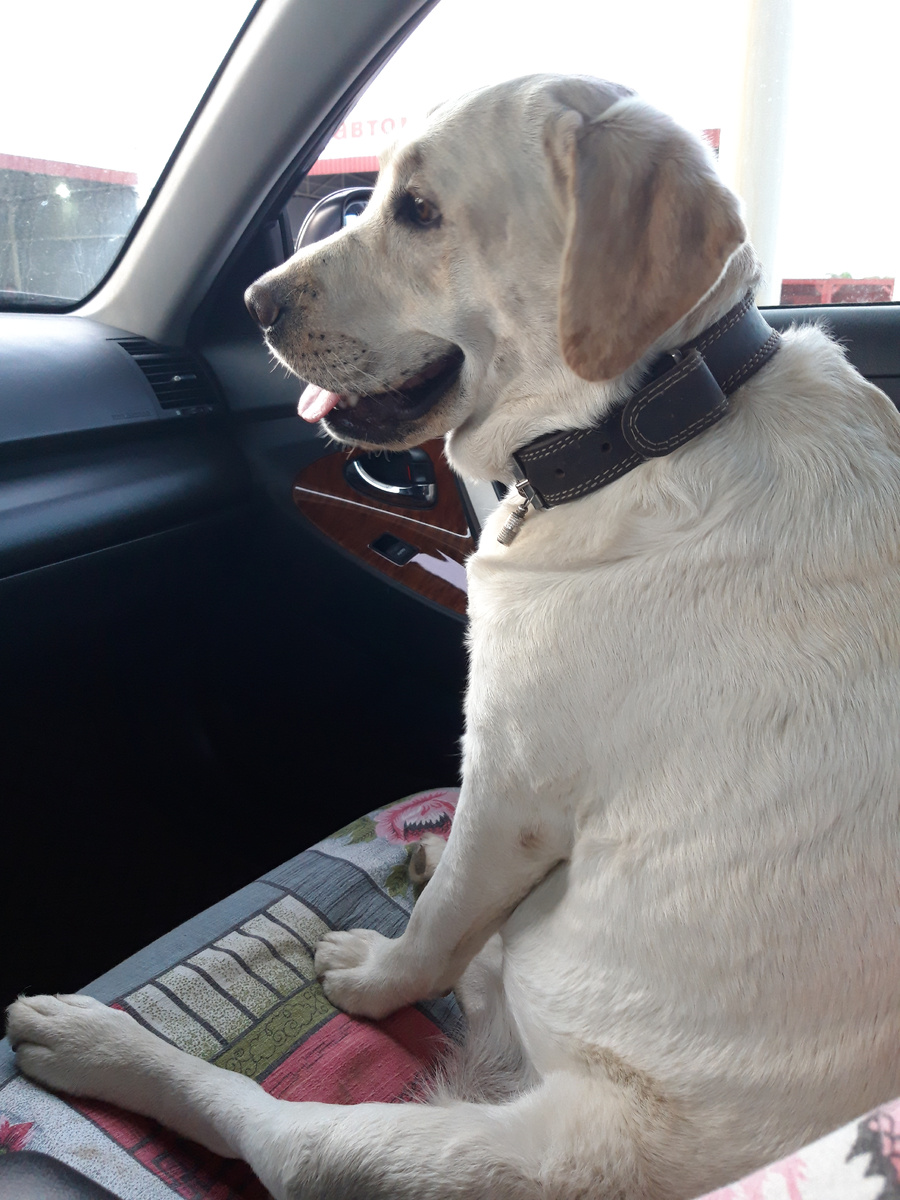 Штурман укажет путь- дорожку