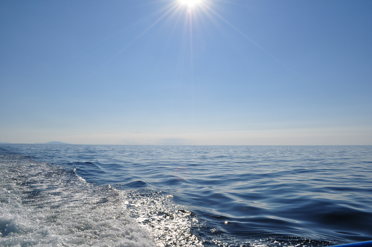 Личное фото, недалеко от г. Судак