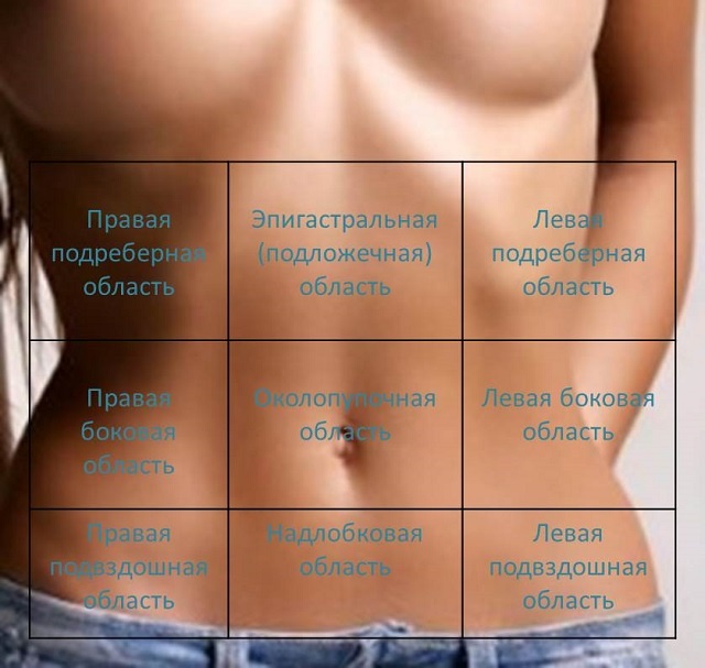 Области живота. Фото из открытых источников. 
