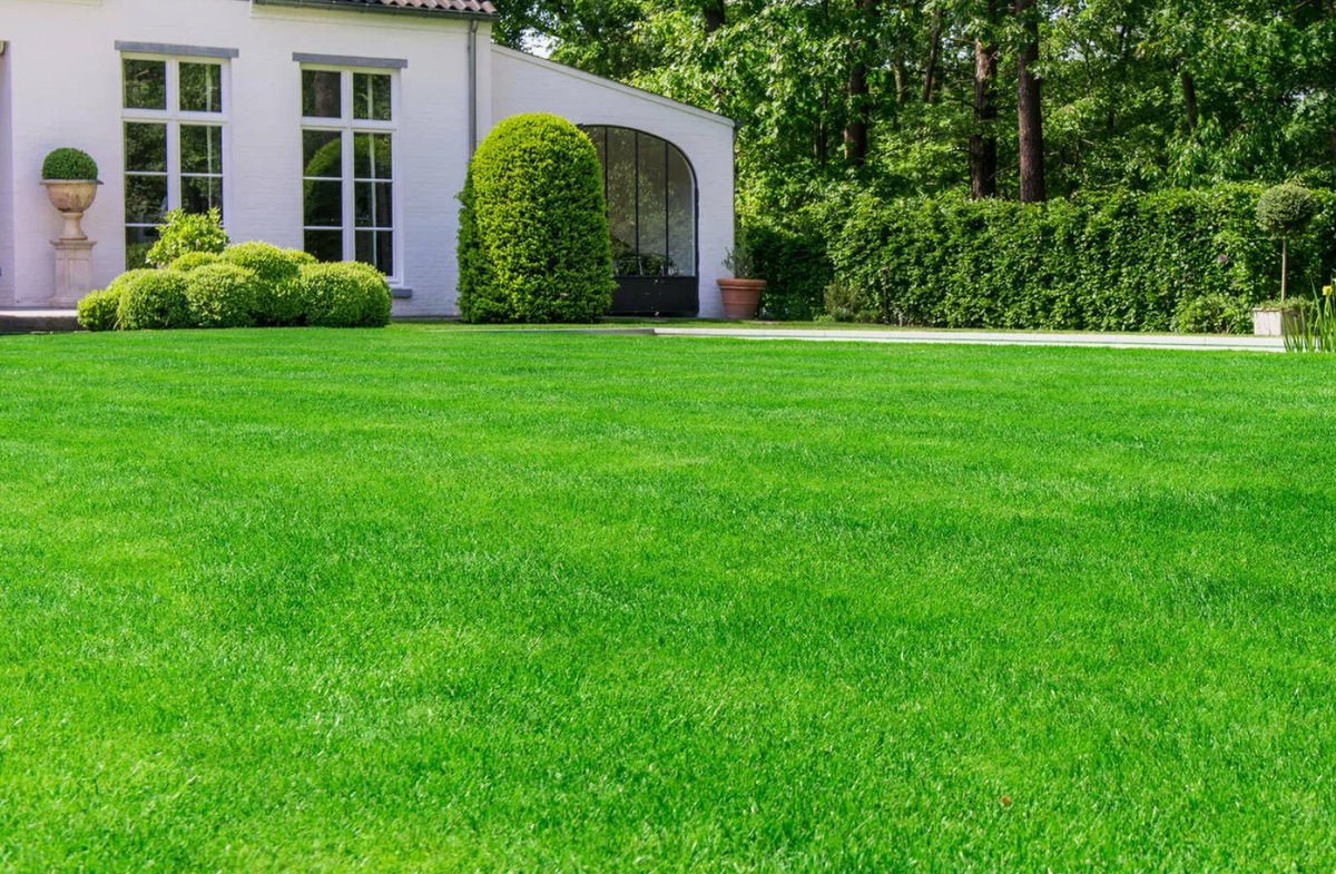 Источник фото: yandex.ru