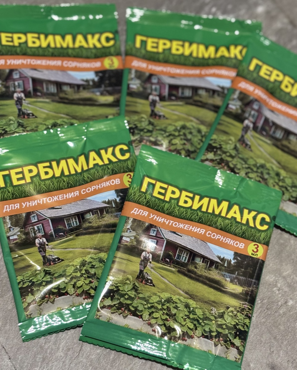 Артикул на Wildberries: 384576313