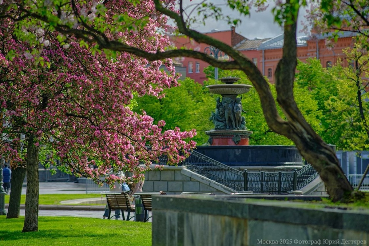 Фотоиз открытого источника