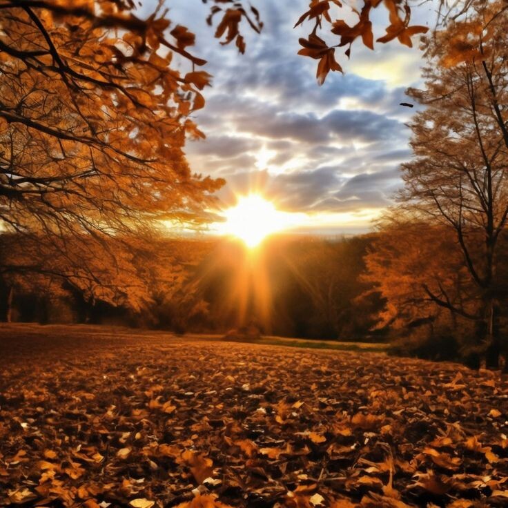 Картинка взята в качестве иллюстрации. Источник FreePik
