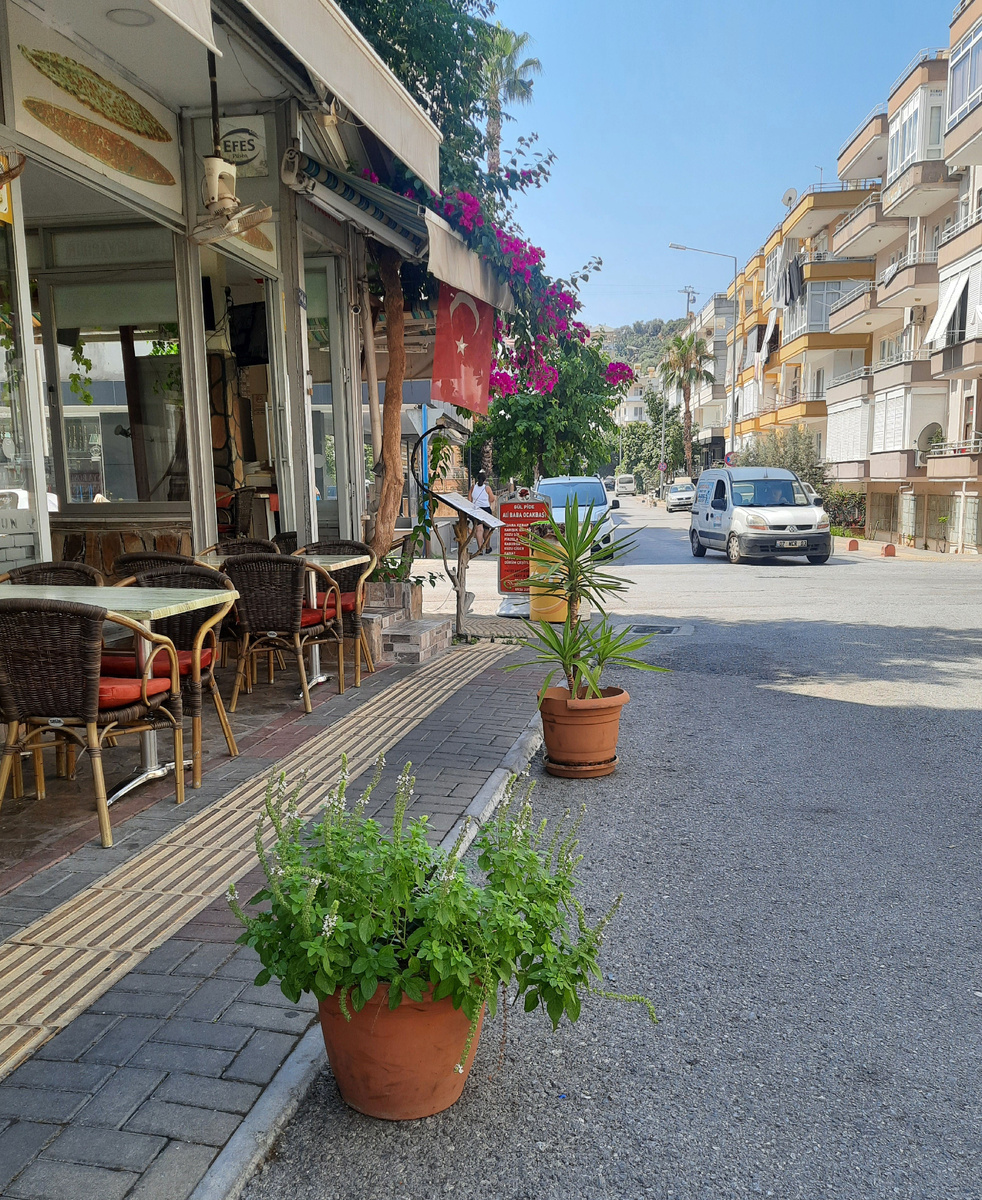 В первом горшке растёт перечная мята. 