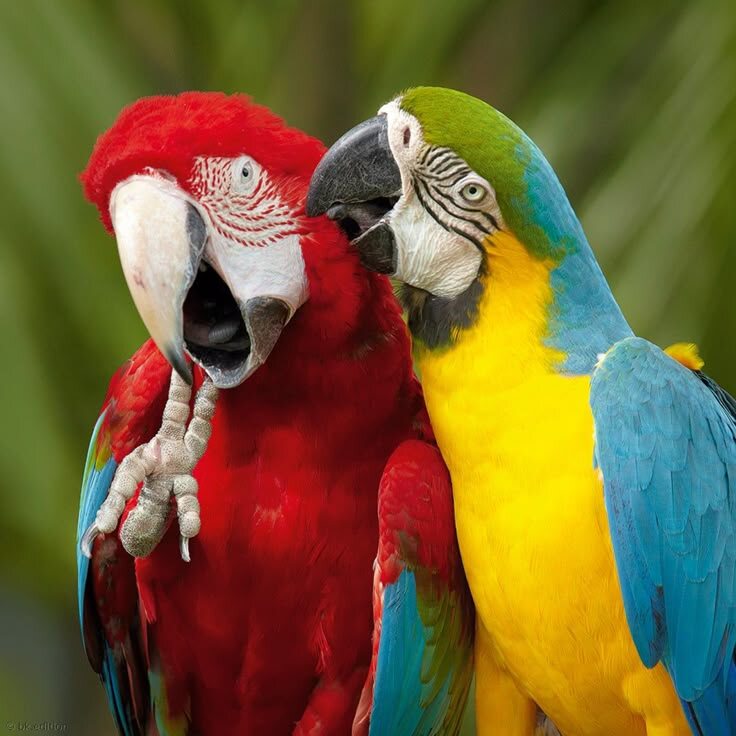 Тсс! Это строго между нами, договорились?