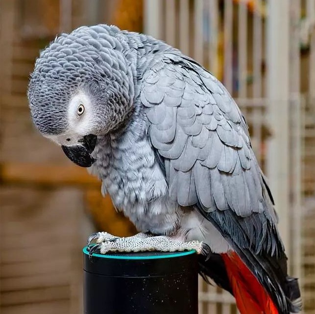 Ну что, поговорим?