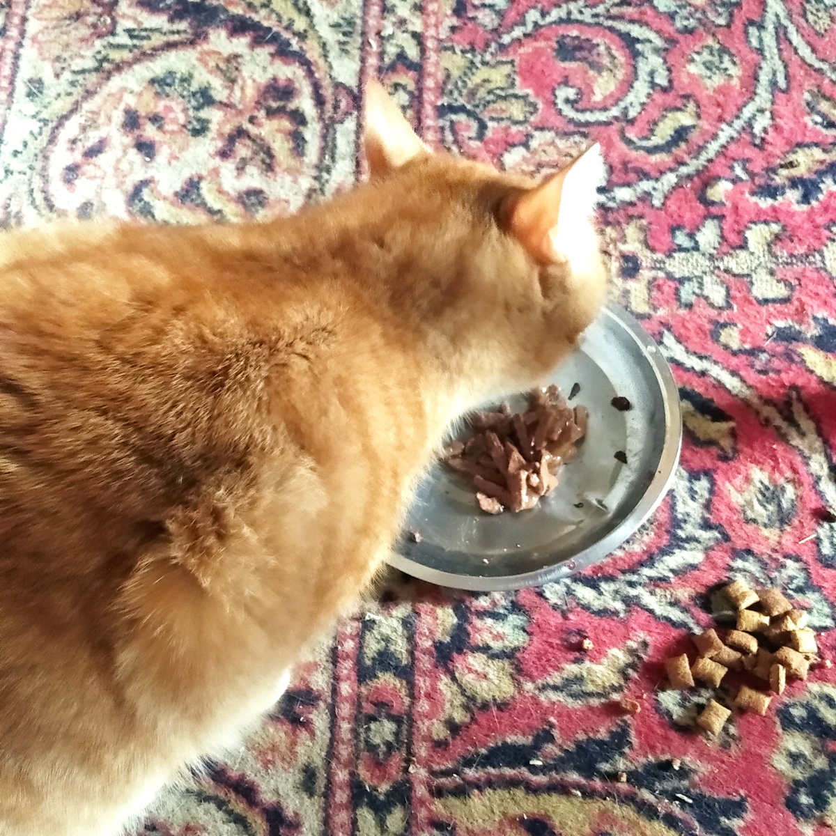 личное  фото