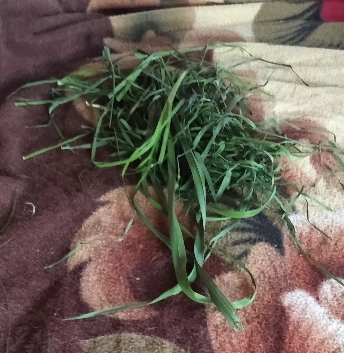 Личное фото