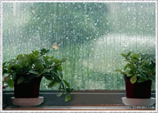 картинка из интернета