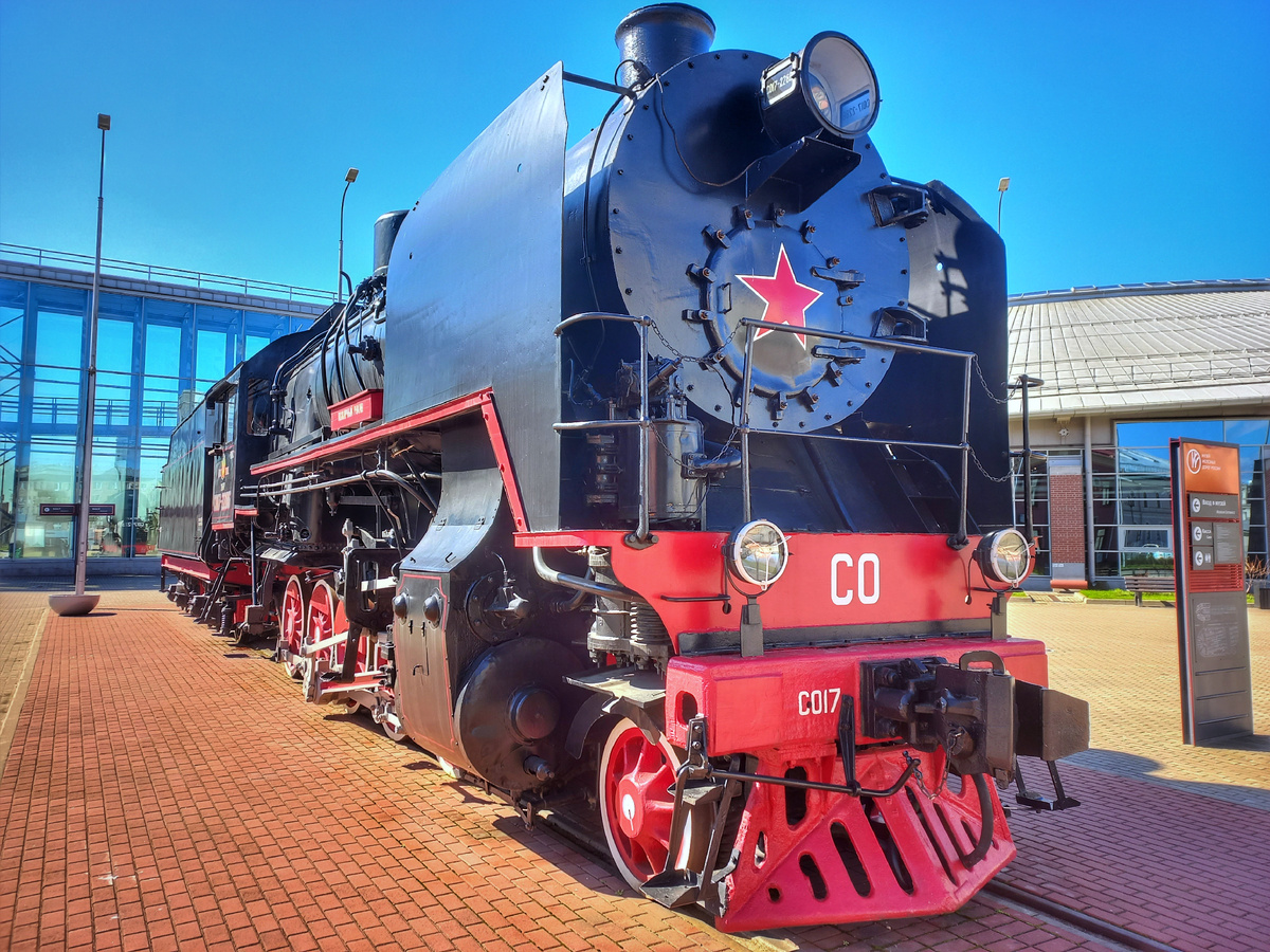 Вот такой красавец встречает посетителей у входа в музей