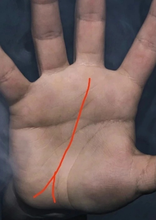 Фото из интернета 