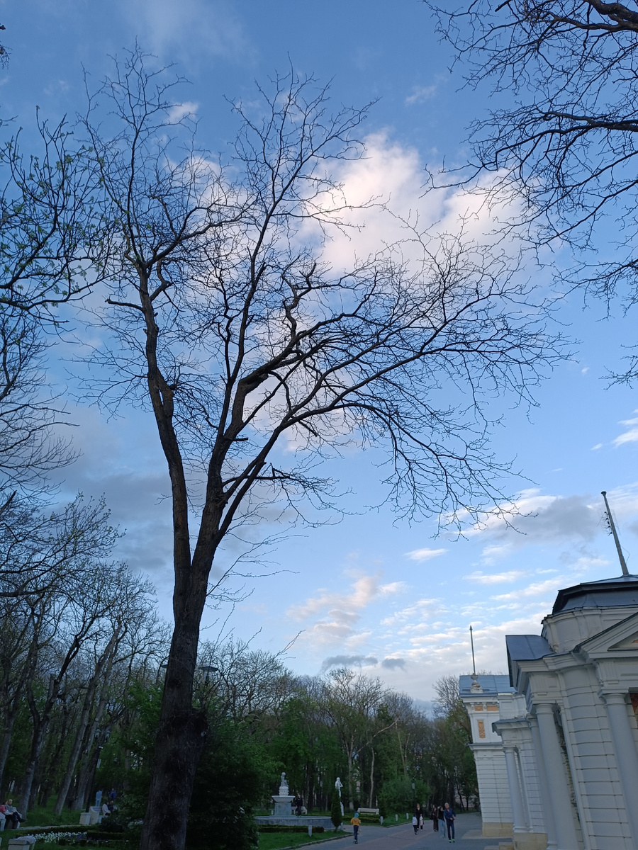 Такое разное небо.. 