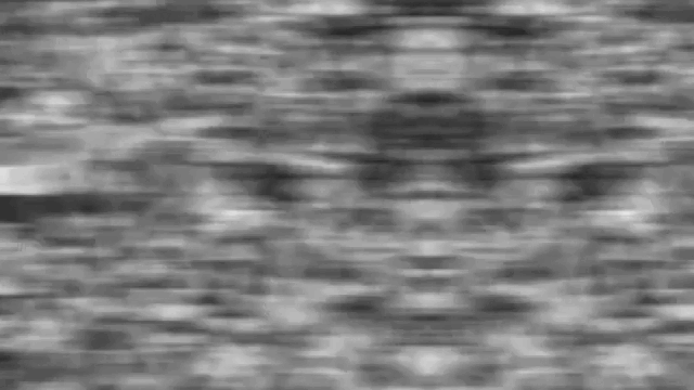 Сцены мирных протестов и митингов в Индии