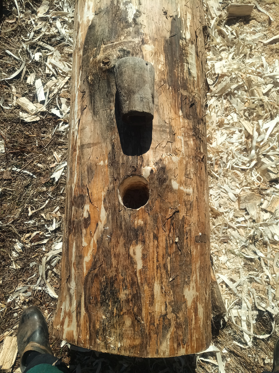 Изготовление родниковой колоды. Отверстие можно было бы прокрутить коронкой для розеток, но за неимением коронки сначала прокрутили коловоротами, затем выбирали стамесками.