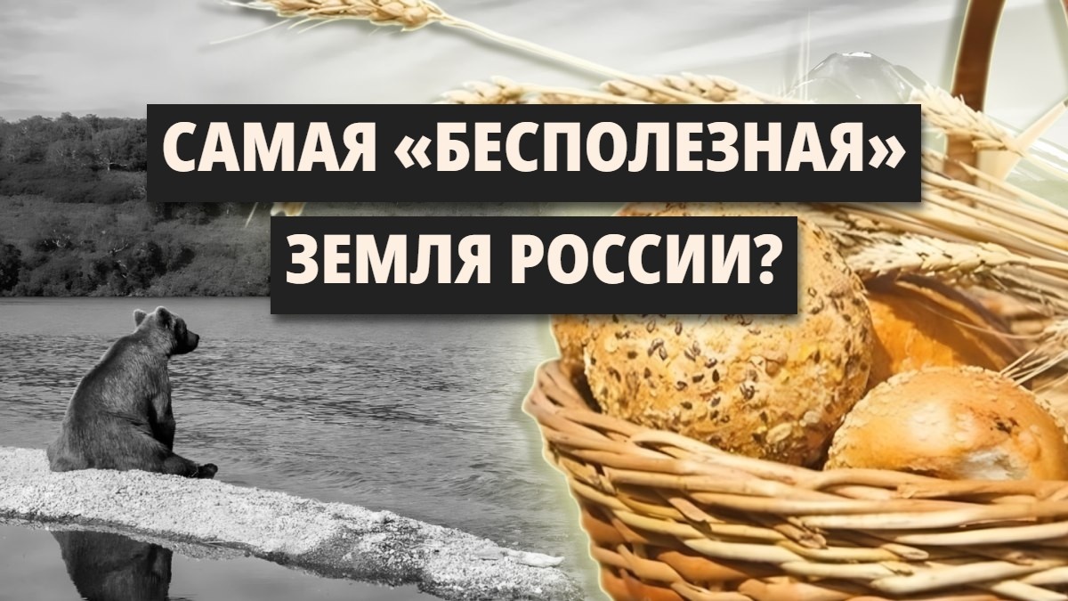 Что выращивают на Дальнем Востоке? Когда земля не хочет кормить...