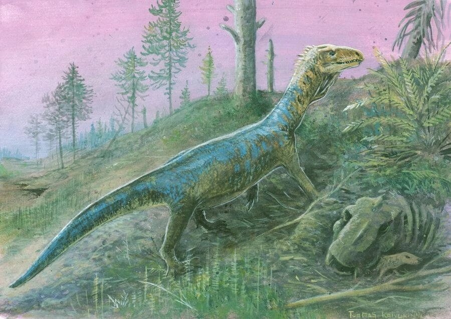 Телеократер ходит по лесу. 