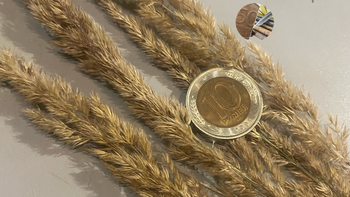 10 рублей 1991 года ЛМД.