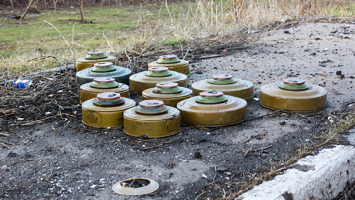    Земля нашпигована минами. Фото: Konopatov Yuri/Global Look Press