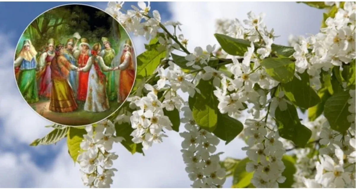 Фото с простор интернета 