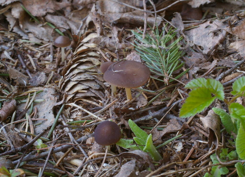 Кучно пошло! (фото И.Лебединского)