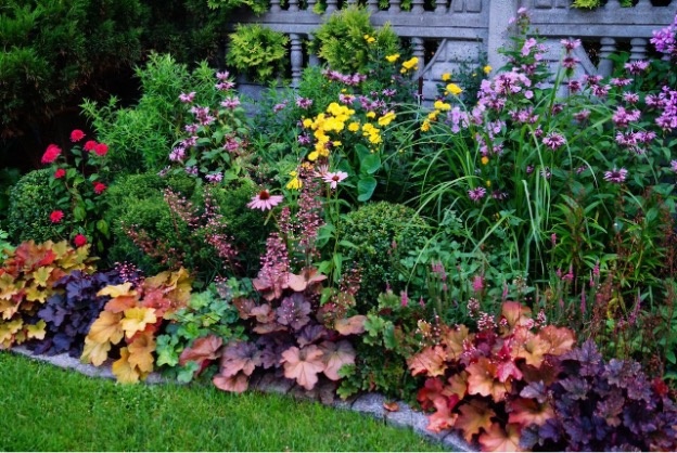 Как создать сад, который не требует ухода, но выглядит дорого.