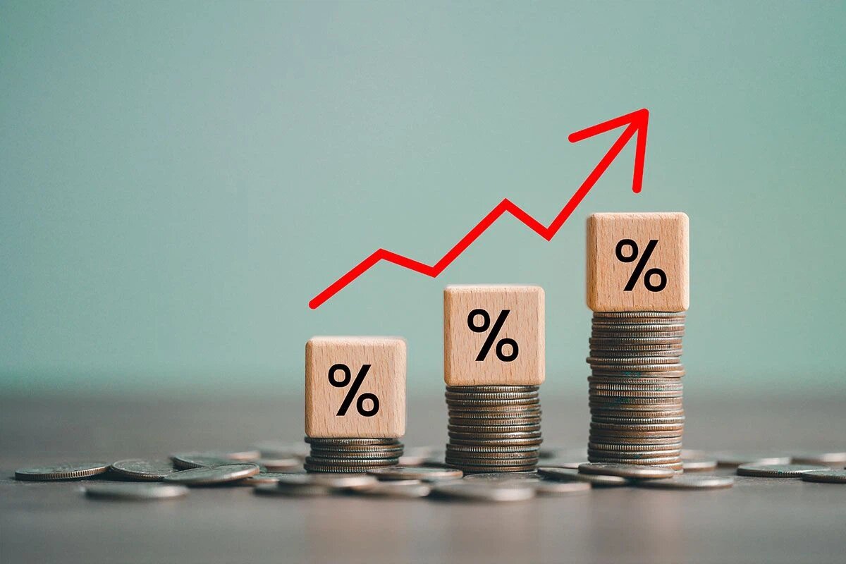    Фото: SomYuZu / Shutterstock.com