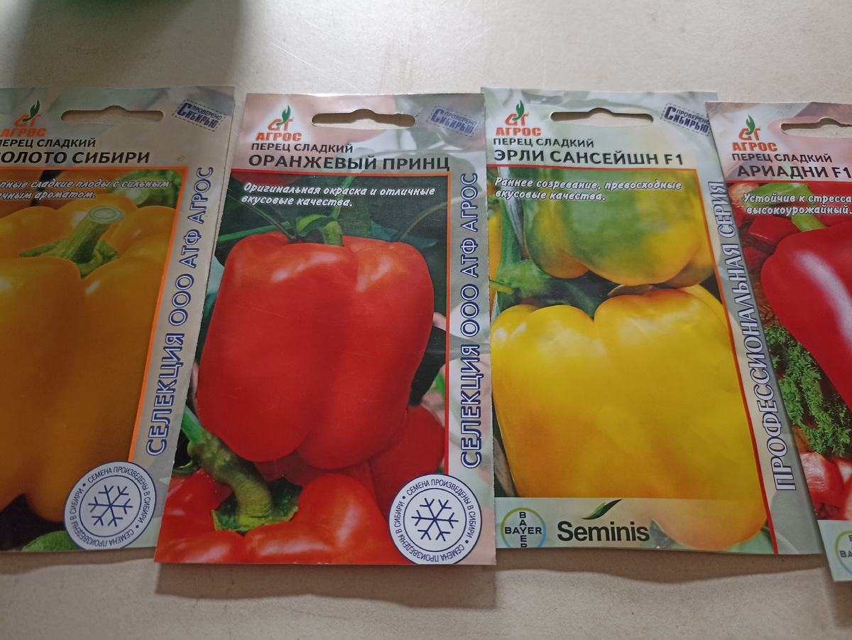 Семена сладких перцев для тестирования. Фото автора