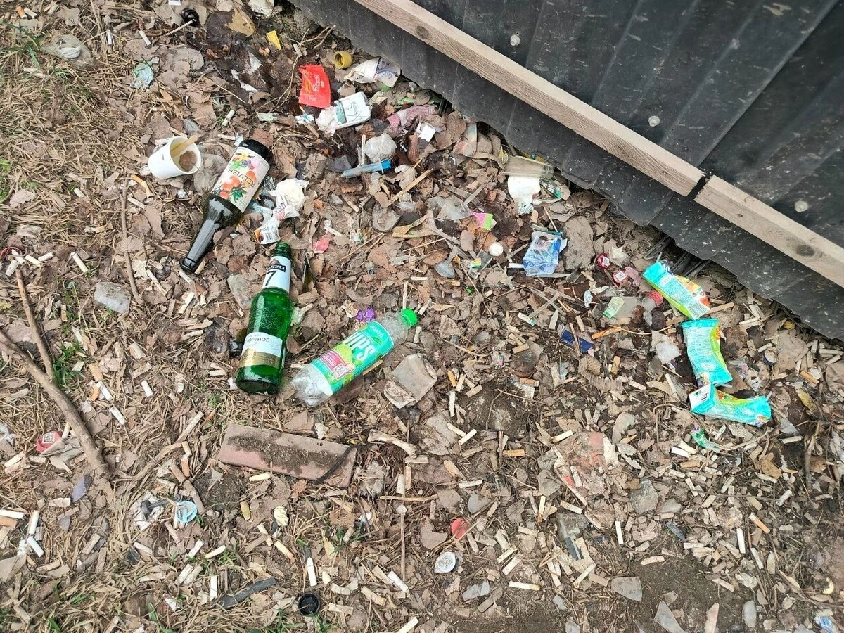     Источник: udm-info.ru