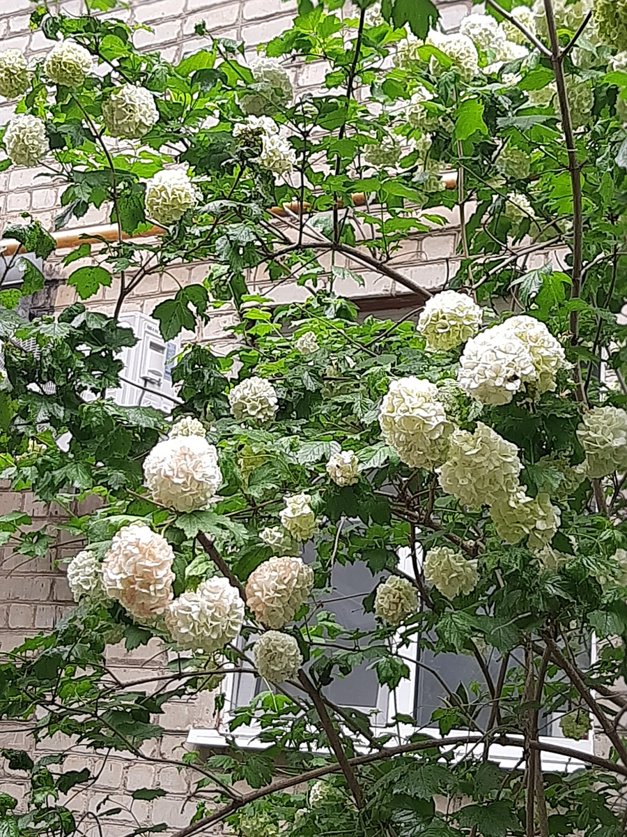 Это для повышения настроения, как всегда))