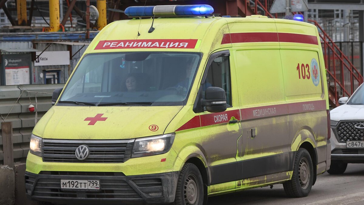    фото: Belkin Alexey/news.ru