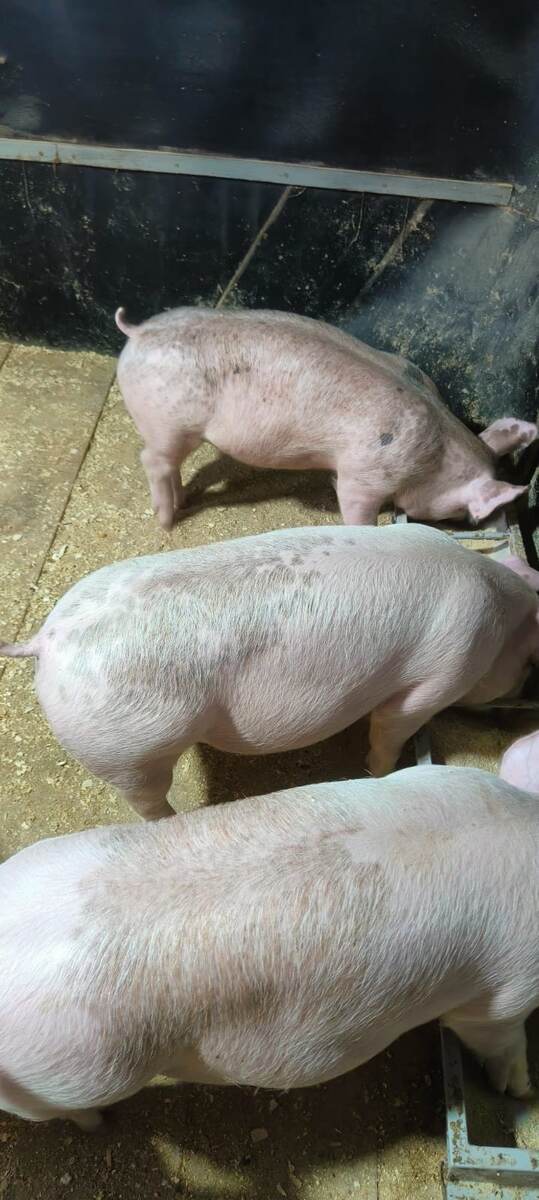 Фото автора канала