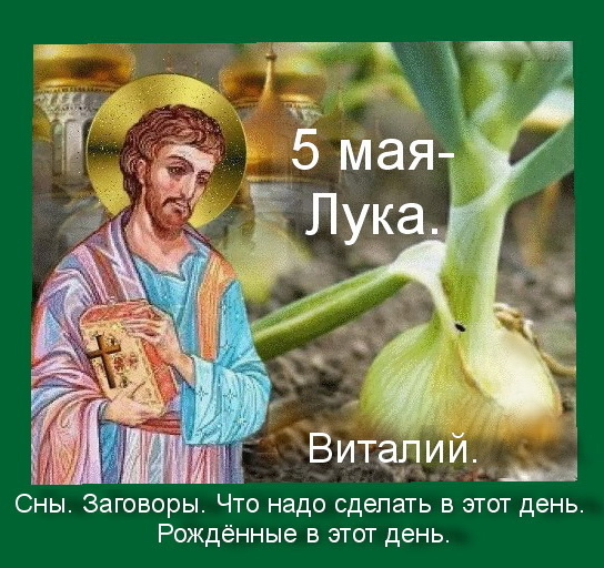 Источник : Яндекс картинки.