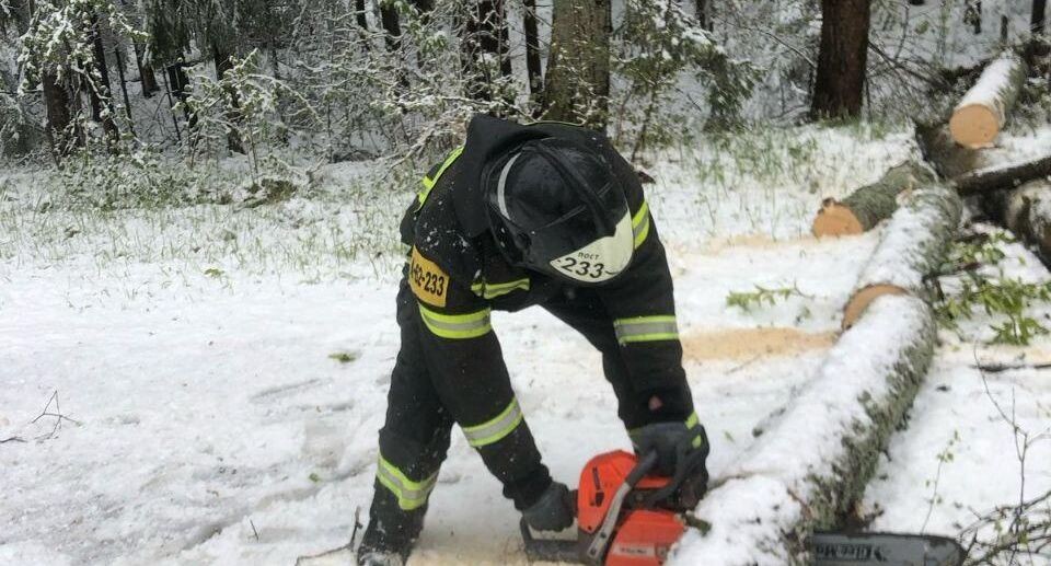    ГУ МЧС России по Московской области