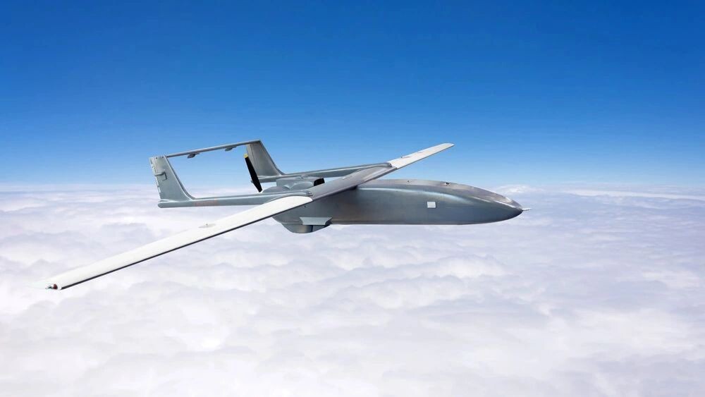    Фото: aapsky/Shutterstock/Fotodom