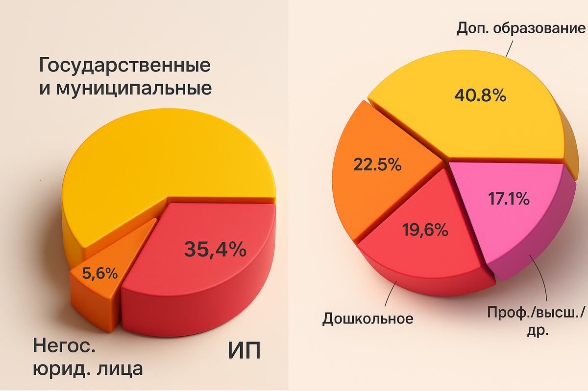 Структура образовательных учреждений по форме собственности и виду деятельности на август 2023 года (Источник: ТАСС)