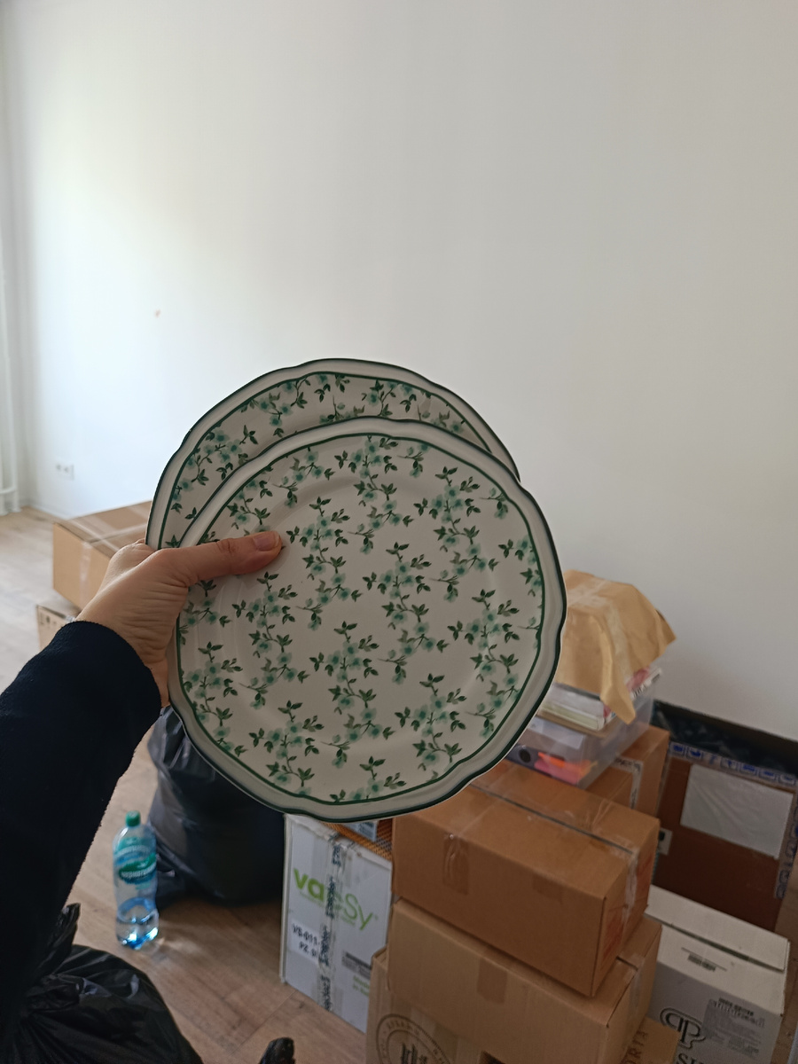 Первым делом распаковала тарелочки. Кажется, в этот момент пищала от радости.) 