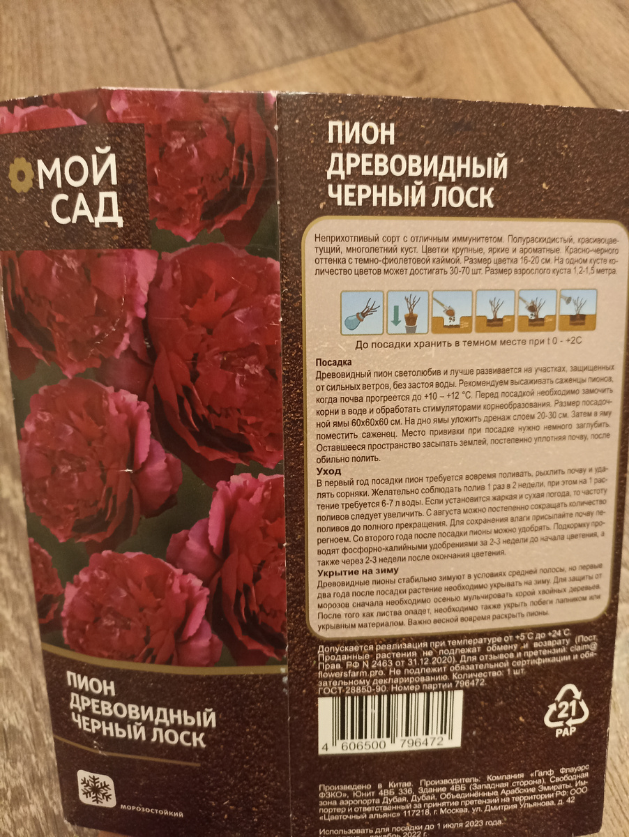 В 2023г. соблазнилась я на приобретение пиона древовидного, и до этого времени ничевошеньки не знала о таких пионах. 