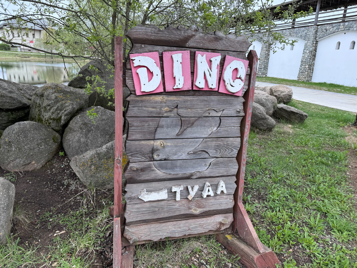 С мальчишками регулярно ездили и гуляли по этому парку 