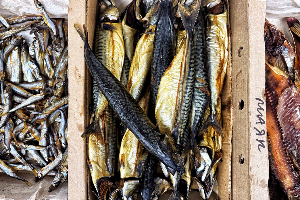 Фото: © Ekaterina Sychkova/ URA.RU/ Global Look Press