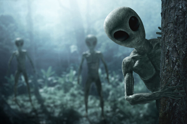 FOTOKITA/Shutterstock/FOTODOM  