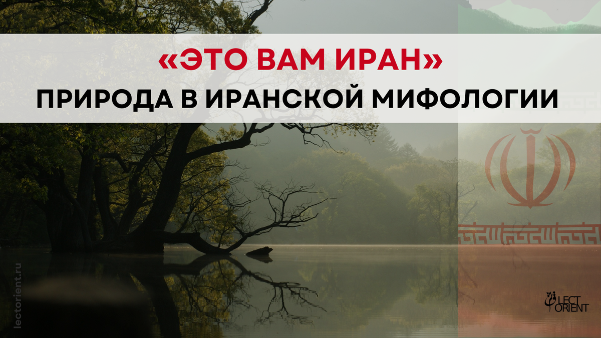 Фото взято из фотостока Canva