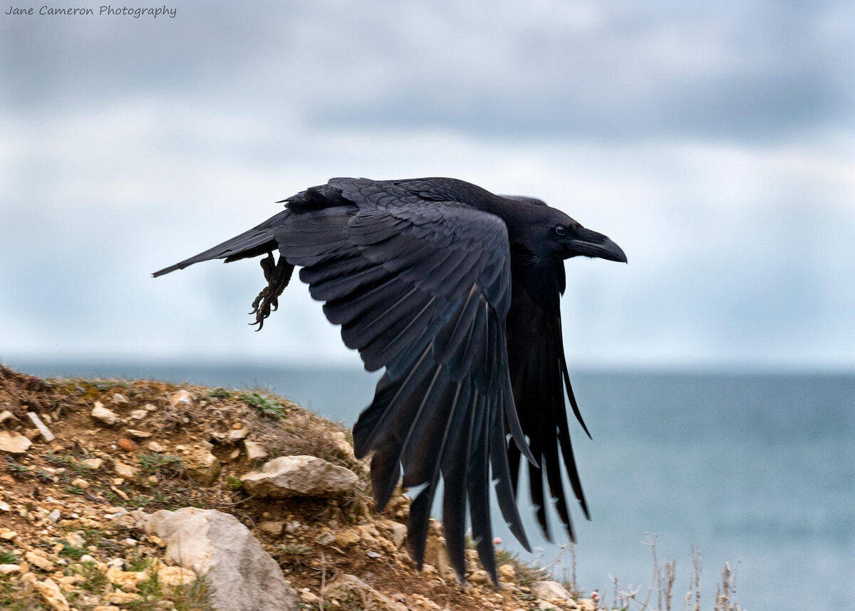 #ЯМужчина #ПсихологДляМужчин #ПсихологияДляМужчин #МужскойКлуб