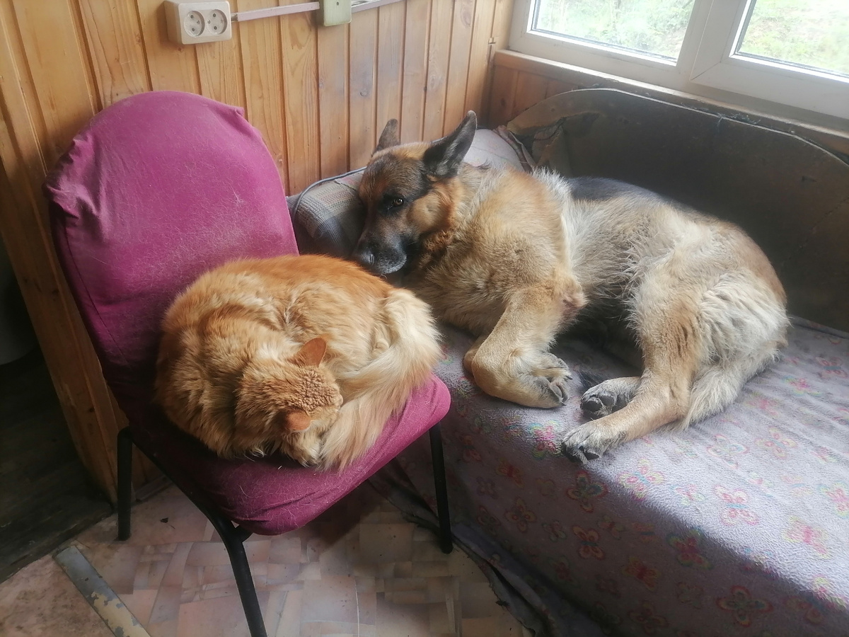 Фред и Сашка в тепле