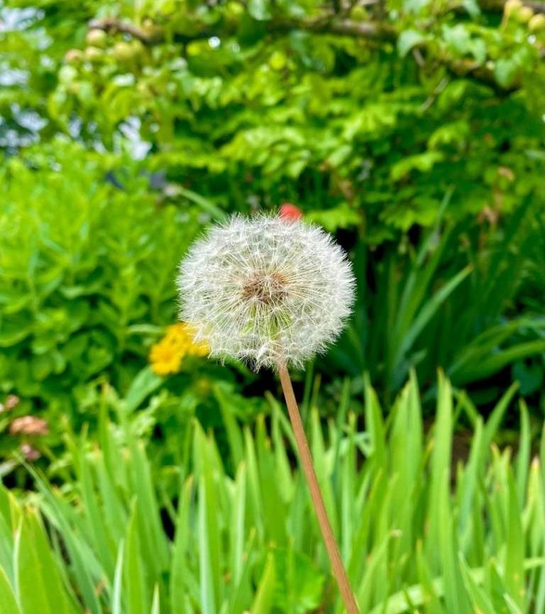    фото Людмила Сахарчук Веселовские вести