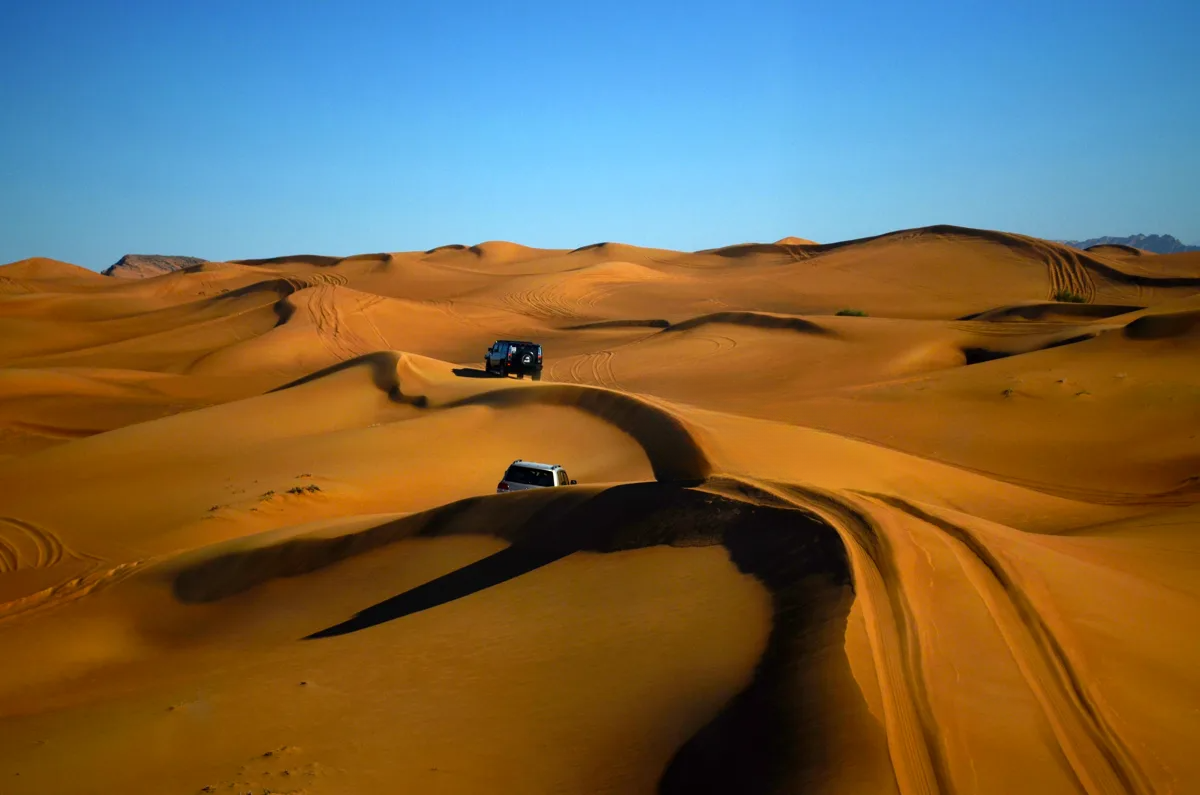 Из открытых источников.