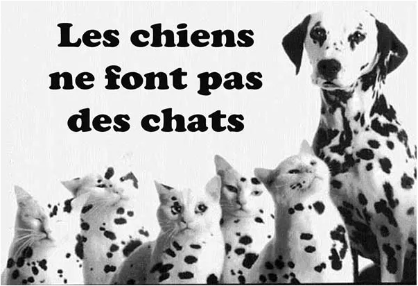 Просторы интернета