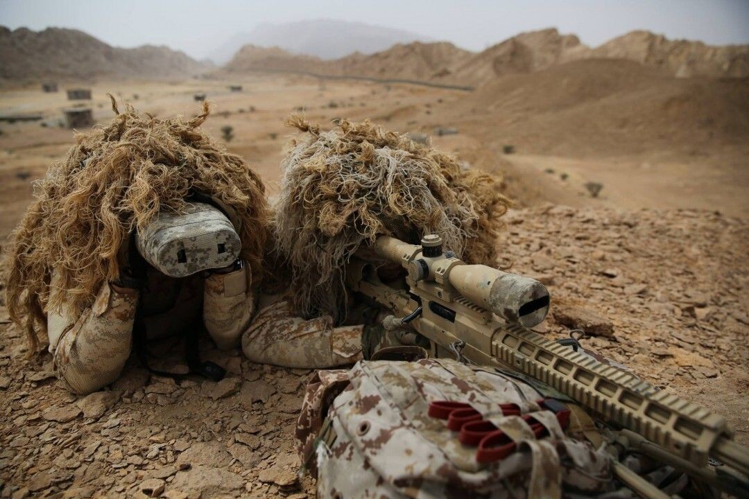 Из открытых источников.