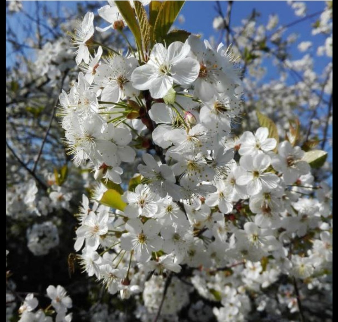 Фото из личного архива